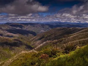Mountain Summer viewpoint near the summit of Mount Hotham, High Country, Victoria