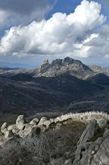 Images Dated 31st May 2014: Mt Buffalo National Park Victoria
