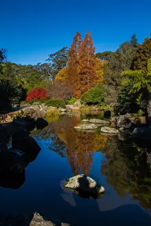 Front Or Back Yard Prints: Mt Tomah Botannical Gardens