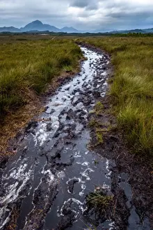 Muddy track to Melaleuca, South Coast track, Southwest Tasmania