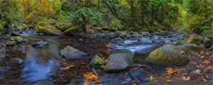 Multnomah creek, Columbia river gorge, Oregon, USA