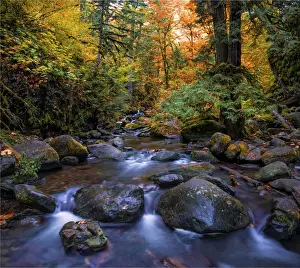 Oregon Us State Prints: Multnomah creek, Columbia river gorge, Oregon, USA