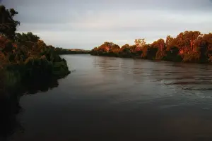 Murray River