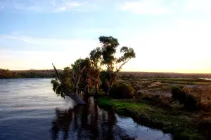 Murray River