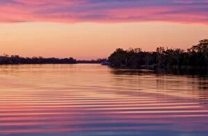 Images Dated 14th May 2014: Murray River sunset. South Australia