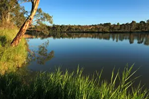 Murray River. Waikerie. South Australia