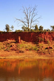 Images Dated 21st December 2015: The Murrumbidgee River edge, Narrandera, New South Wales, Australia