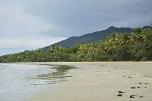 Images Dated 27th May 2014: Myall Beach, Daintree National Park
