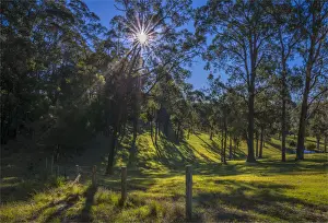 Narooma hinterland, southern coastline of New South Wales, Australia