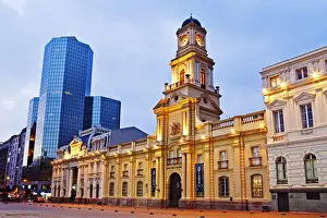 John W Banagan Prints: National History Museum, Santiago, Chile