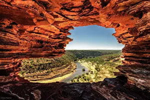 Nature Window