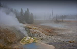 Images Dated 14th September 2013: Norris Basin, Yellowstone National Park, Wyoming, USA