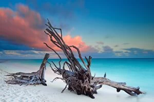 Images Dated 2014 October: North Beach in Heron Island