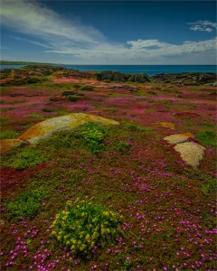 Northern coastline of King Island at Disappointment bay Northern coastline of King Island at Disappointment bay