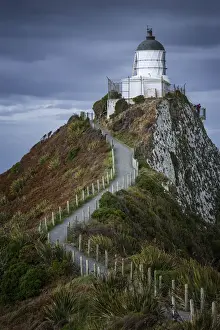 Simon Phelps Prints: Nugget Point Lighthouse, South Island, New Zealand