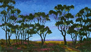 Judi Parkinson Artworks Collection: Oil Painting Australian Gum Trees at Twilight