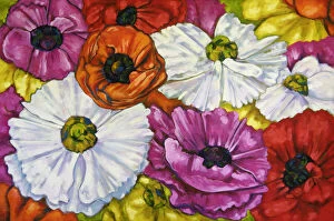 Judi Parkinson Artworks Collection: Oil Painting of Ranunculus Flowers