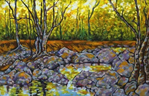 Judi Parkinson Artworks Collection: Oil Painting of River Rock Pools Trees and Dappled Sunlight