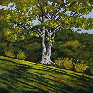 Oil Painting of Sunlight Splashing on a Tree on Green Grassy Hillside