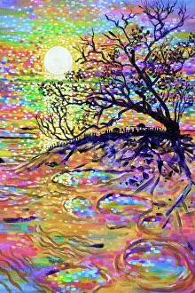 Extraordinary Australian Sunrises Prints: Old Mangrove Tree Silhouetted Against Sunrise Seascape Original Painting