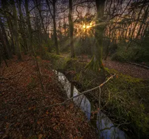 Old Roman roadway, Upton nature reserve, Dorset, England, UK