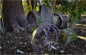 Old Steam traction engine lying in a rainforest on Norfolk Island