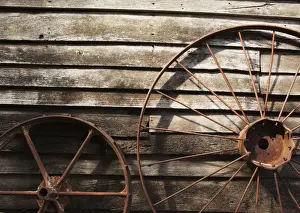 Curve Prints: Old Wheels Against A Wooden Wall