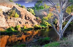 Images Dated 26th November 2010: Onkaparinga river gorge, Fleurieu Peninsula South Australia