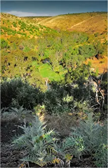 Ravine Prints: Onkaparinga river gorge, Fleurieu Peninsula South Australia
