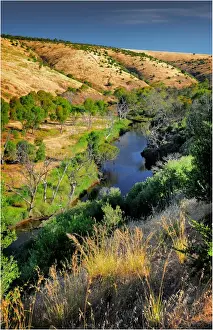 Ravine Prints: Onkaparinga river gorge, Fleurieu Peninsula South Australia