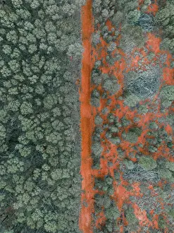 Orange coloured dirt road crossing through a forest photographed from a drone point of view, Queensland, Australia