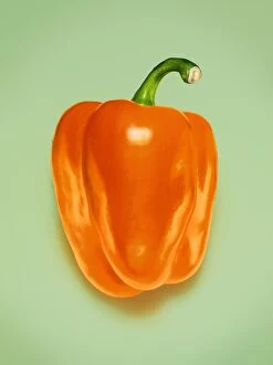 Images Dated 2014 August: Orange Pepper
