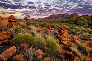 Northern Territory Prints: Ormiston Pound