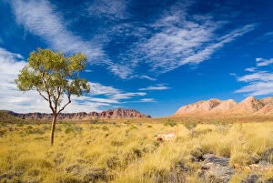Images Dated 5th January 2015: Ormiston Pound Macdonnell Ranges central Australia