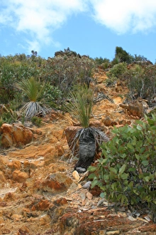 Outback Hill is a typical Australia scene in the south West