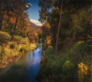 The Ovens river in summer, Bright, Ovens Valley, High Country, Victoria, Australia