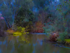 Images Dated 2022 June: The Ovens River, Wangaratta, Central Victoria