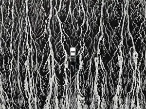 Abstract Aerial Art Prints: Overhead photo showing a 4x4 driving across braided channels of Ocean water created at low tide