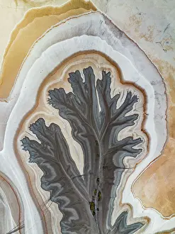 Abstract Aerial Art Prints: Overhead photo showing tributaries from the King River