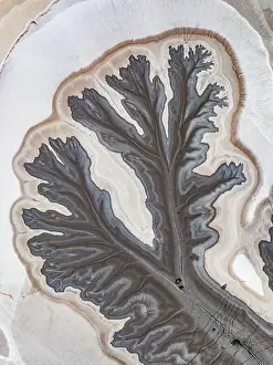 Abstract Aerial Art Prints: Overhead shot showing tributaries from the King River