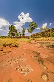 Images Dated 15th May 2018: Palm Valley, Finke Gorge National Park, Northern Territory, Australia
