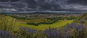 Natural Parkland Prints: Panorama of Edinburgh city