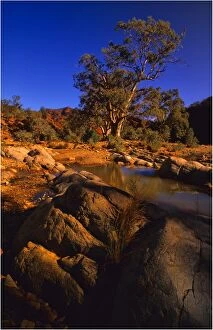 Images Dated 30th January 2013: Parachilna gorge Flinders Ranges, South Australia