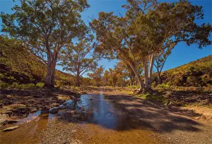 Flowing Water Prints: Parachilna gorge in the springtime, southern Flinders Ranges, South Australia
