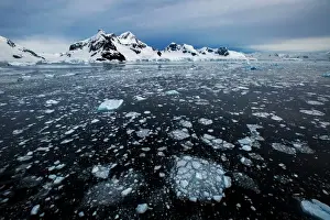 Still Prints: Paradise Harbor (Paradise Bay), Antarctic Peninsula, Antarctica