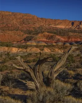 Paria Wilderness, Arizona, south western United States of America