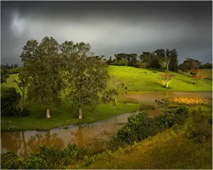 South Pacific Prints: Passing Storm, Mission valley, Norfolk Island