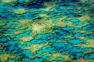 Images Dated 29th July 2016: Patterns of Great Barrier Reef