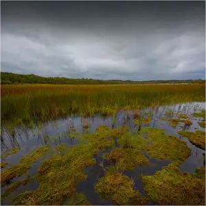 Pennys Lagoon, a rare perched lake, northern coastline of King Island, Bass Strait, Tasmania, Australia