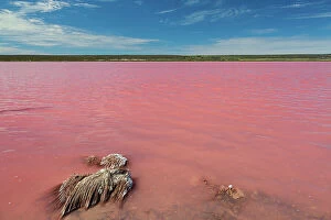 Hutt Lagoon (Pink Lake) Collection: Pink Lake, Hutt Lagoon (Port Gregory - Western Australia)